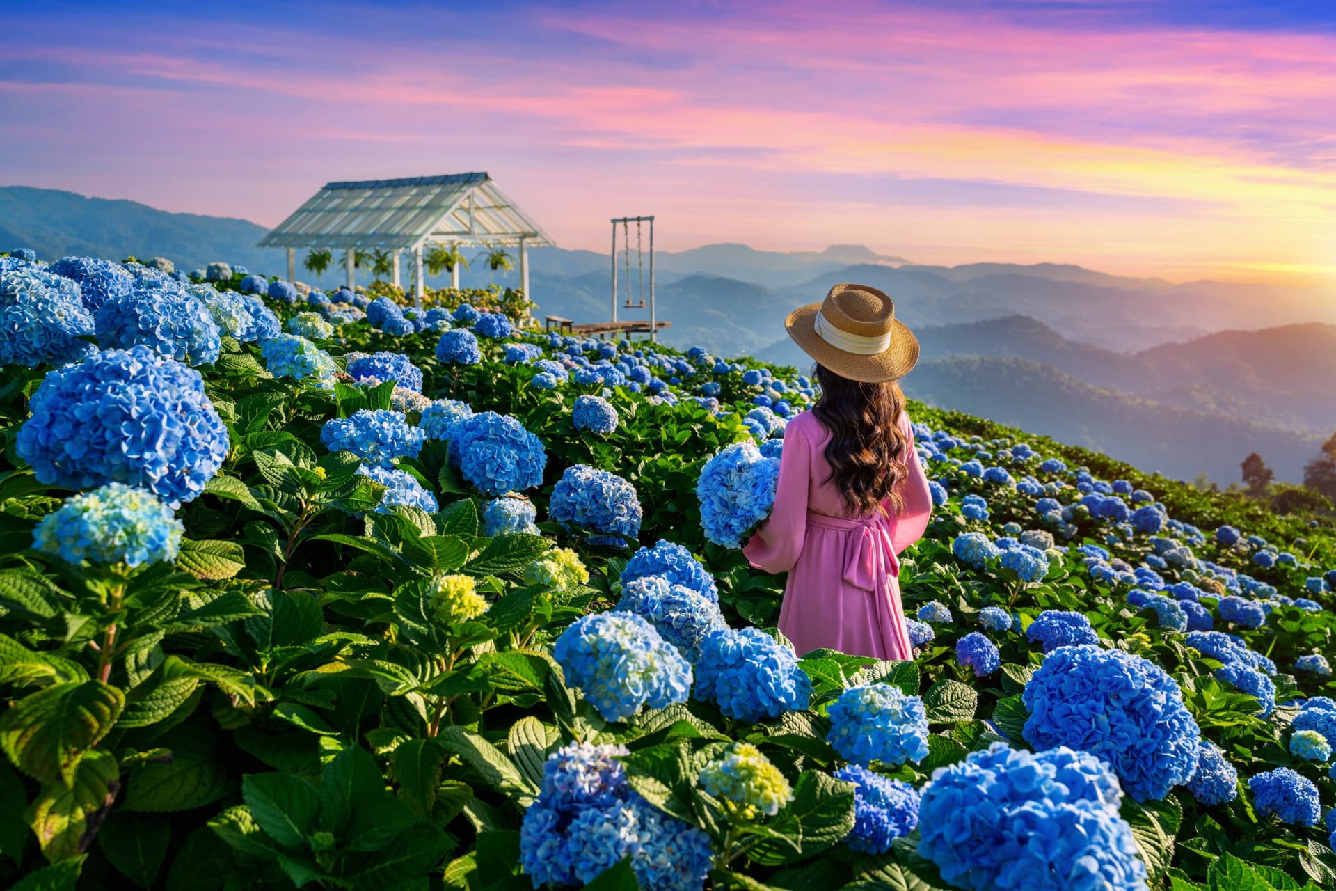 Chiang Mai or Chiang Rai: Which City Should You Choose?