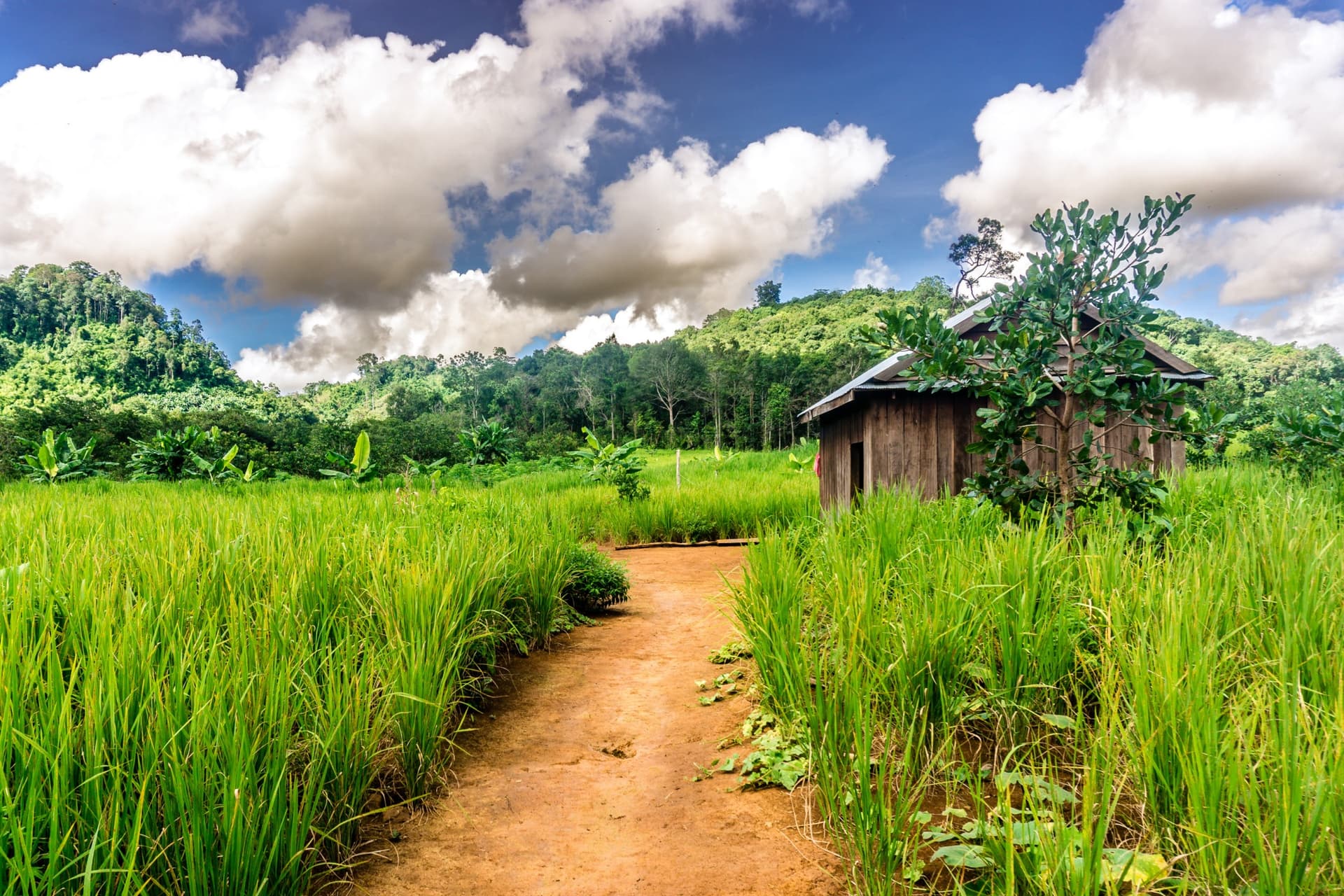 Mondulkiri Province