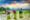 Agrotourism and Green Tourism in Thailand